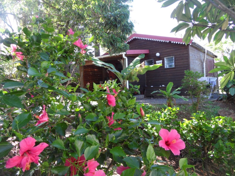 Bungalow Letchi au milieu d'un grand et beau jardin