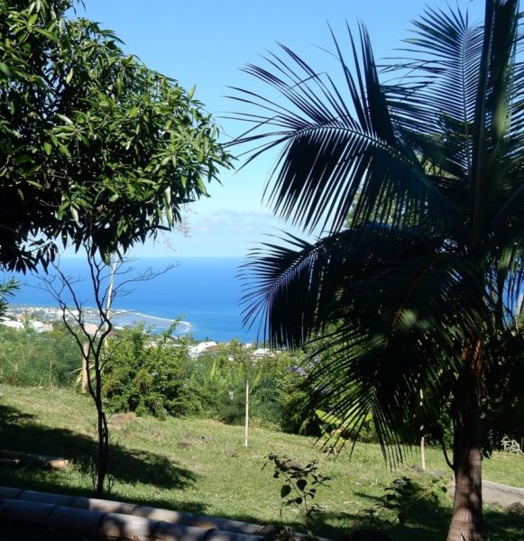 Vue depuis le bungalow Goyave, mer et lagon d'Etang Salé les Bains