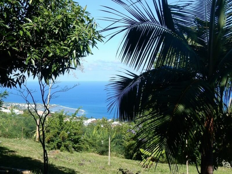 Vue depuis le bungalow Goyave, mer et lagon d'Etang Salé les Bains